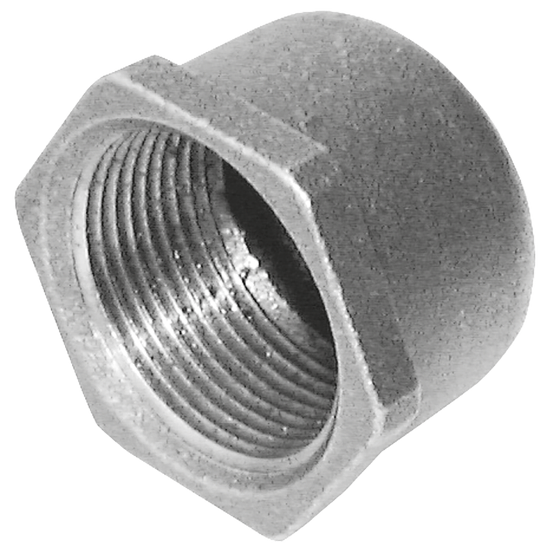 BSPT FEMALE BLANK CAP FIG185 GALV