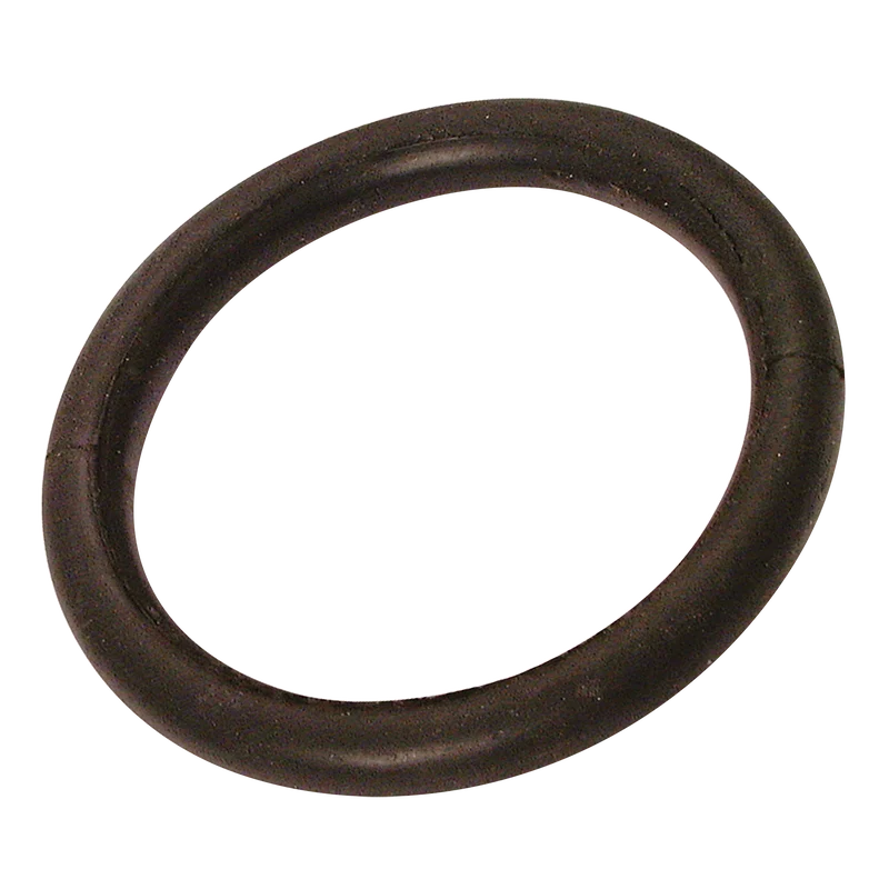OIL RESISTANT O RING