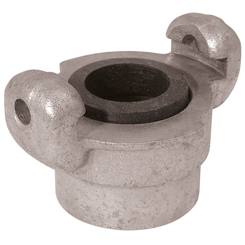 QAC2 CLAW COUPLER BSP FEM PLATED