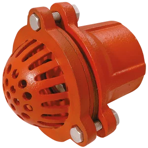 BSPP MALLEABLE IRON FOOT VALVE