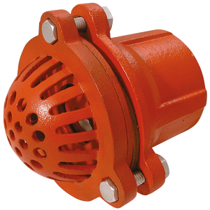 BSPP MALLEABLE IRON FOOT VALVE