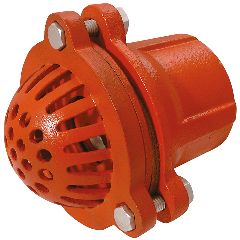 BSPP MALLEABLE IRON FOOT VALVE