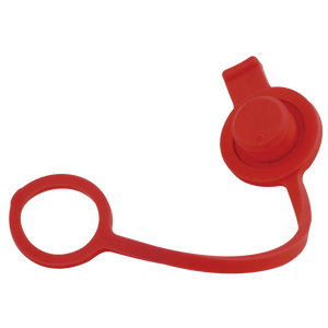 ISO B CARRIER PLUG