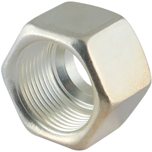 SILVER COATED NUT