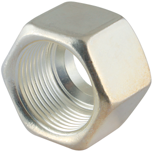 SILVER COATED NUT