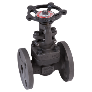 ANSI 150 GLOBE A105 TRIM