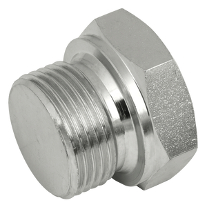 BSPP MALE SOLID PLUG STEEL