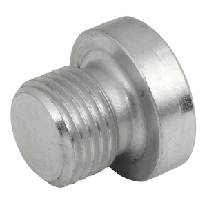 BSP SOCKET HEAD PLUG WITHOUT SEAL