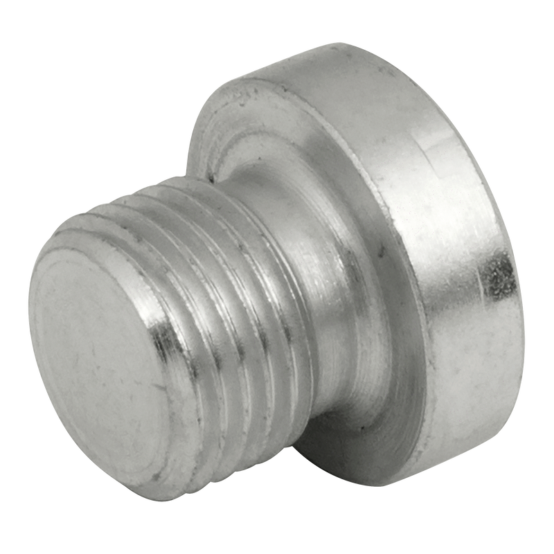 BSP SOCKET HEAD PLUG WITHOUT SEAL