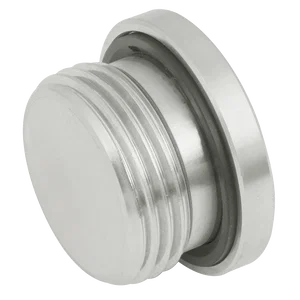 BSP SOCKET HEAD PLUG 3869 SEAL