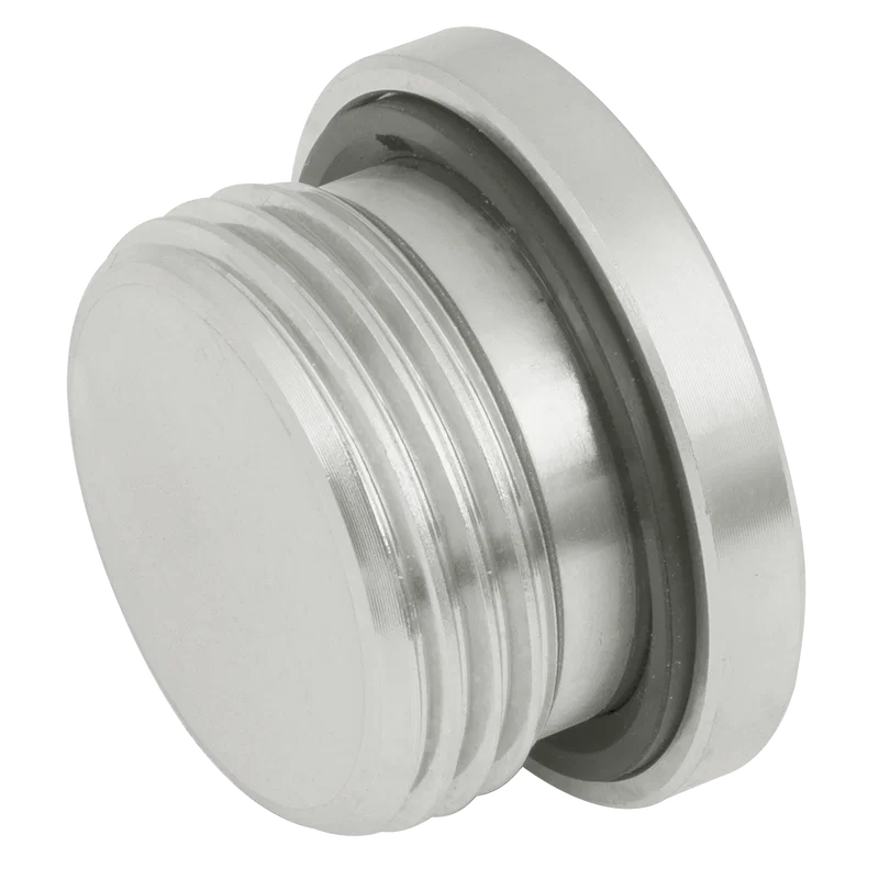 BSP SOCKET HEAD PLUG 3869 SEAL