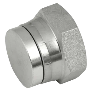 BSP SWIVEL STEEL BLANKING CAP