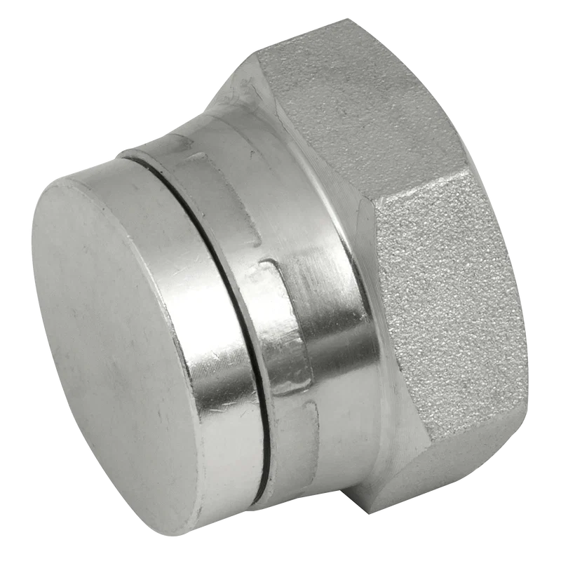 BSP SWIVEL STEEL BLANKING CAP