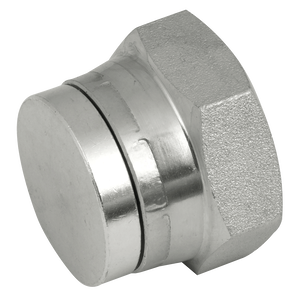 BSP SWIVEL STEEL BLANKING CAP