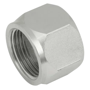 JIS (BSPP) FEMALE STEEL CAP
