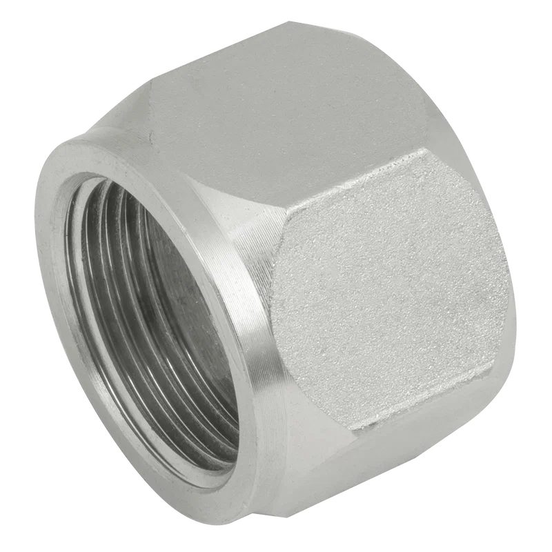 JIS (BSPP) FEMALE STEEL CAP