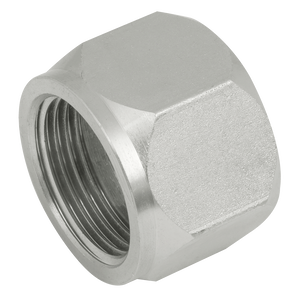 JIS (BSPP) FEMALE STEEL CAP
