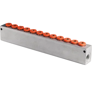 1/4BSP INLETS TO 12 X 6MM OUTLETS