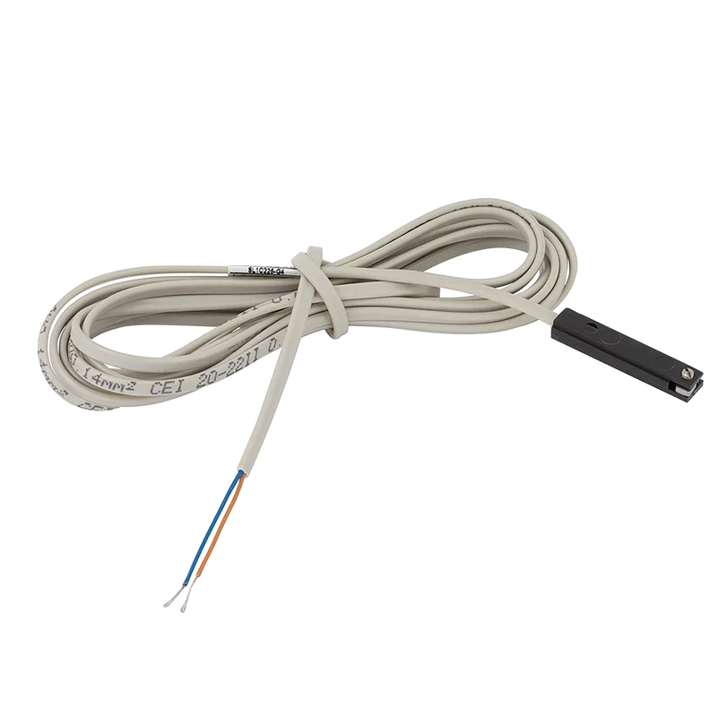 REED SWITCH