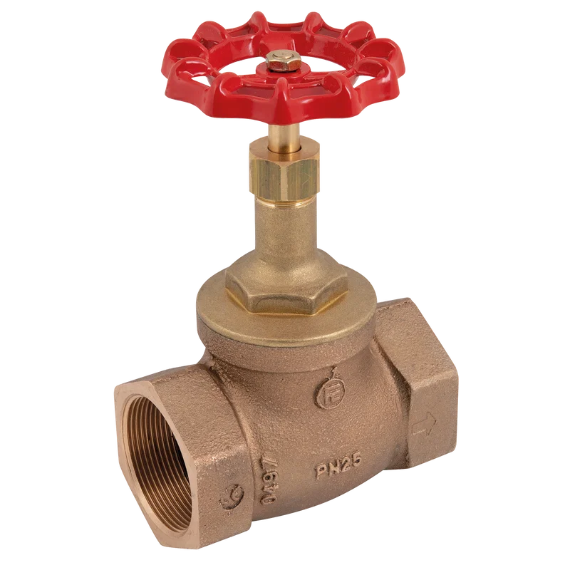 BSP BZE GLOBE VALVE PN25 (10B STE