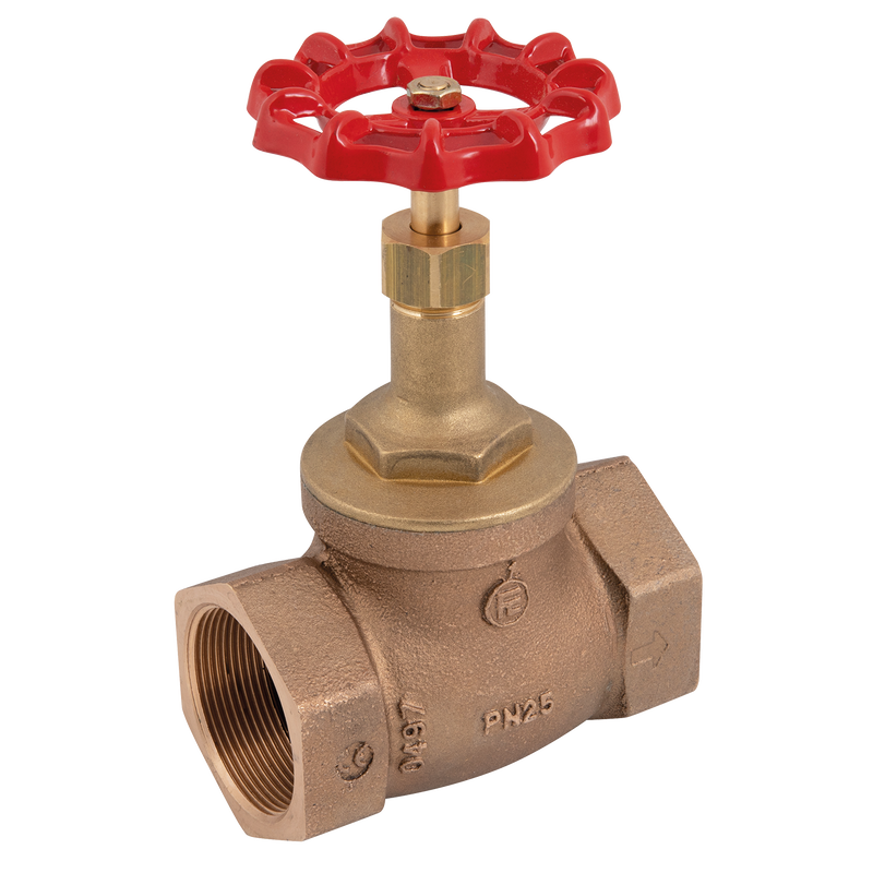 BSP BZE GLOBE VALVE PN25 (10B STE