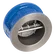 2WFR D/DISC CHK VLV CI BOD SS DISCS NBR