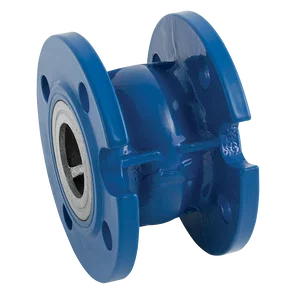 SPRING CHECK VALVE