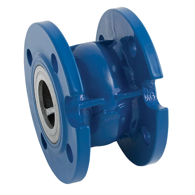 SPRING CHECK VALVE