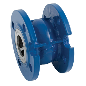 SPRING CHECK VALVE