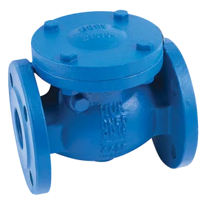PN16 CI CHECK VALVE