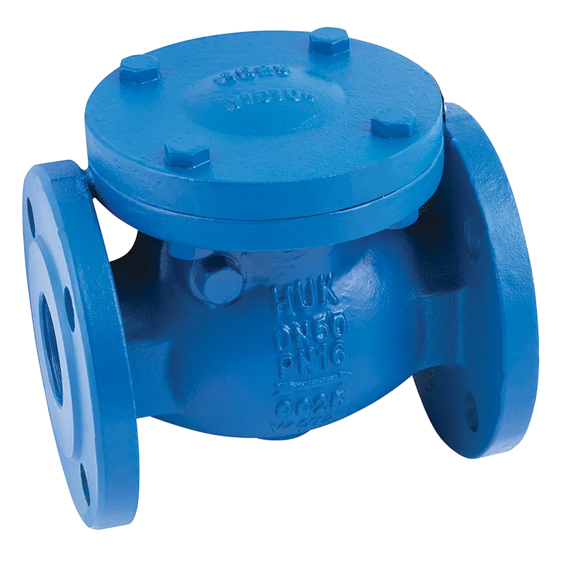 PN16 CI CHECK VALVE