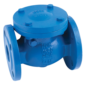 PN16 CI CHECK VALVE