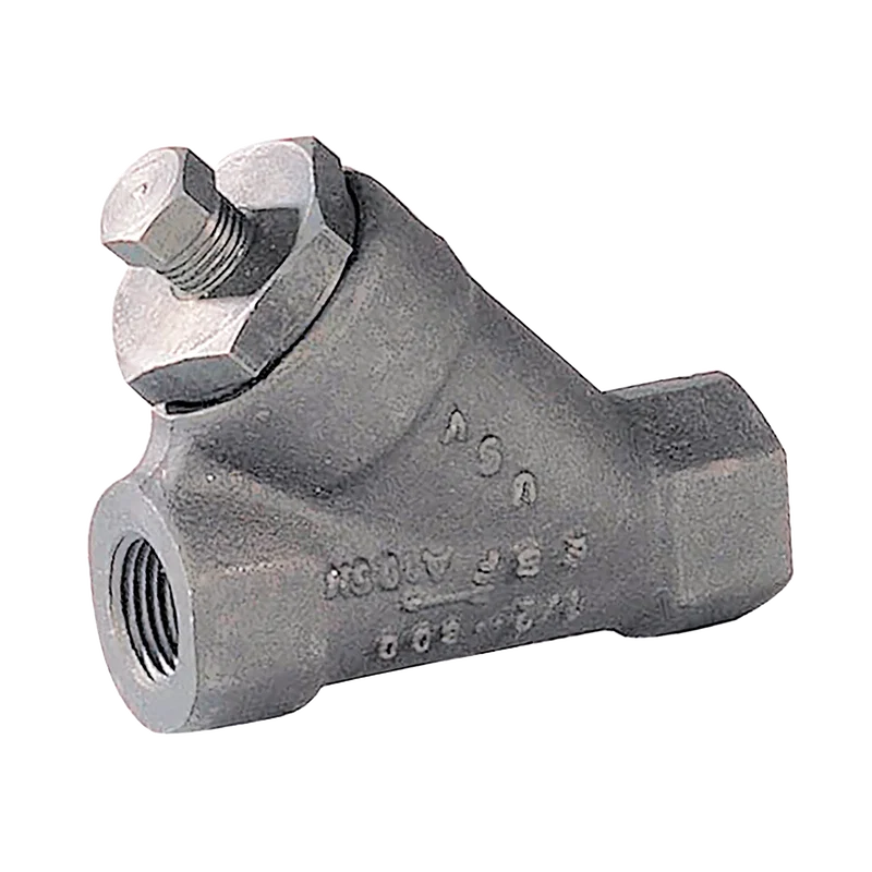 BSP CARBON STEEL Y STRAINER 800LB