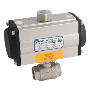 1 1/2BSP 2009D SS BV C/W HTD-063 DA ACT