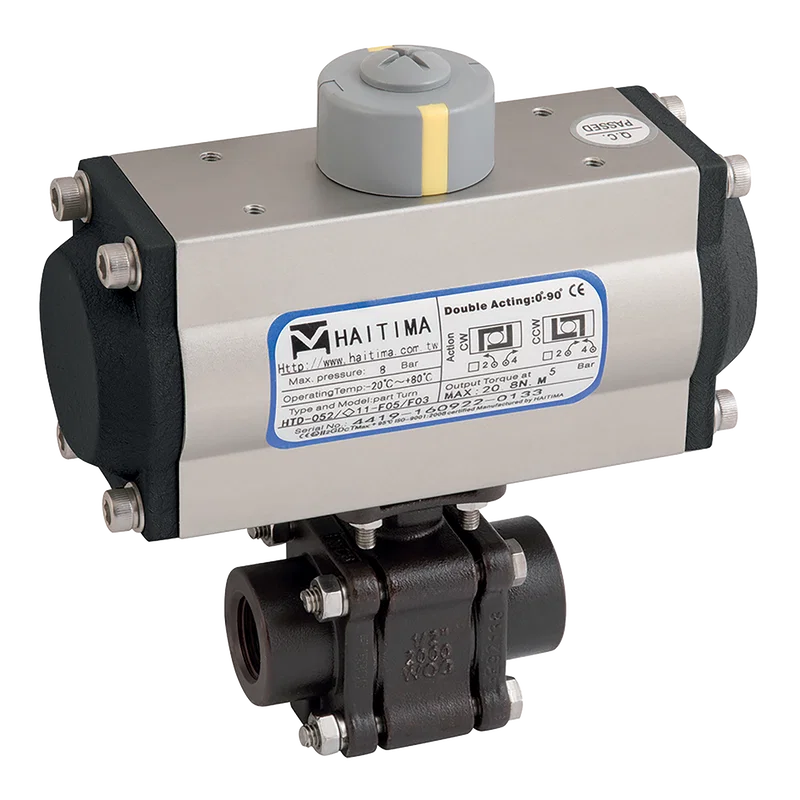 NPT CS 3PC FSAS BV HAITIMA DA ACT