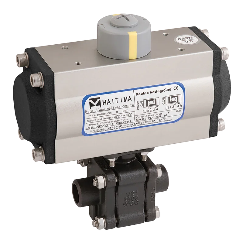 NBBW CS 3PC FSAS BV HAITIMA DA ACT