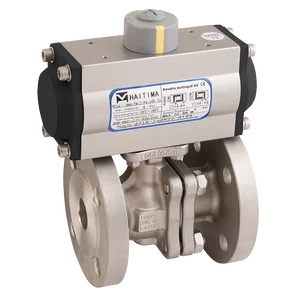 PN40 SS FSAS FBBV F/W HAIT SA ACT