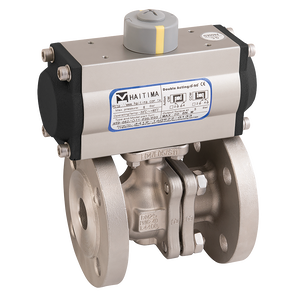 PN40 SS FSAS FBBV F/W HAIT SA ACT