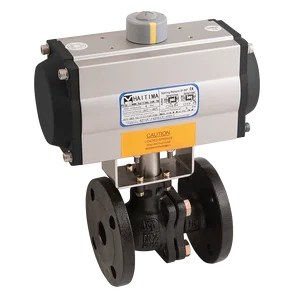 PN16 CI BV ATEX HAITIMA DA ACT