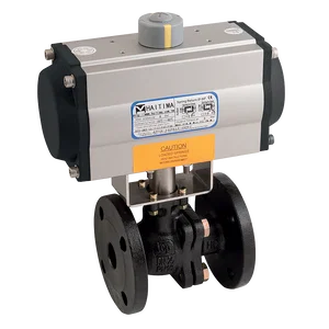 PN16 CI ATEX BV HAITIMA SA ACT