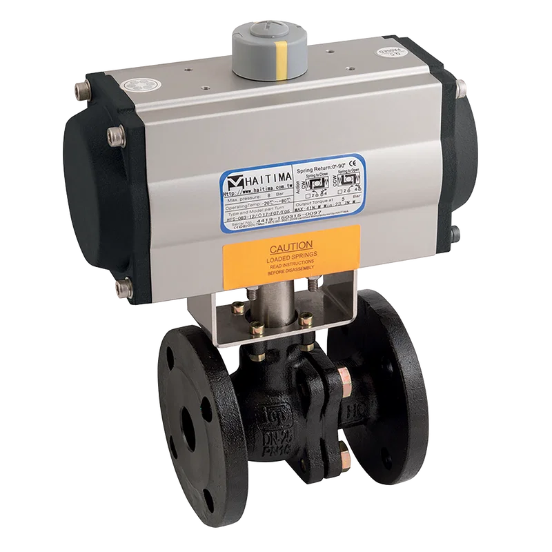 PN16 CI ATEX BV HAITIMA SA ACT