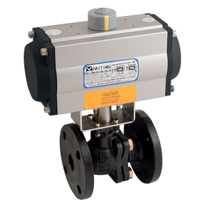 PN16 CI ATEX BV HAITIMA SA ACT