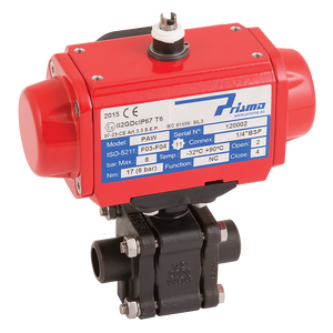 NBBW CS 3PC FSAS BV PRISMA SA ACT