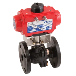 PN16 CI ATEX BV F/W PRISMA SA ACT