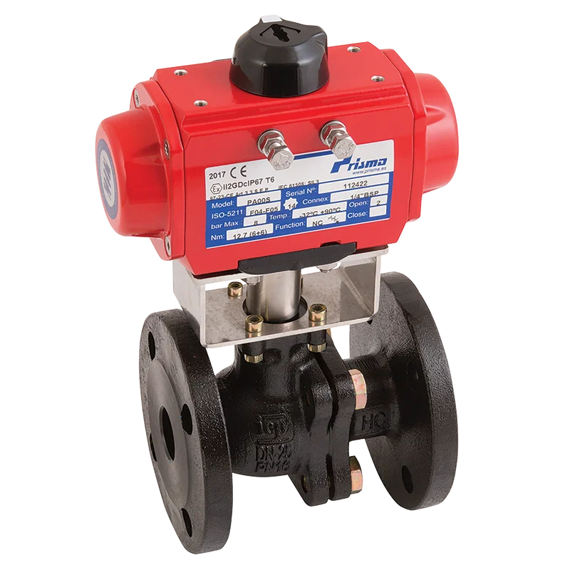 PN16 CI ATEX BV F/W PRISMA SA ACT