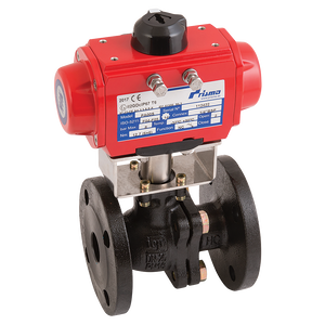 PN16 CI ATEX BV F/W PRISMA SA ACT