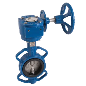 WAFER BFLY VVE SS/SS/EPDM SS GEAR
