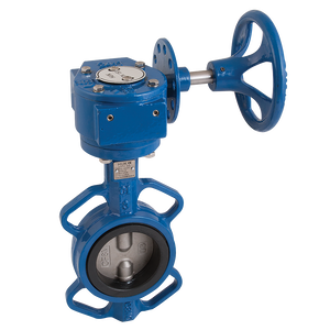 WAFER BFLY VVE SS/SS/EPDM SS GEAR