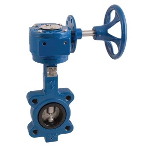 PN10 LUG BFLY VLV DI/SS/EPDM