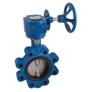 ASA150 DI/SS/EPDM